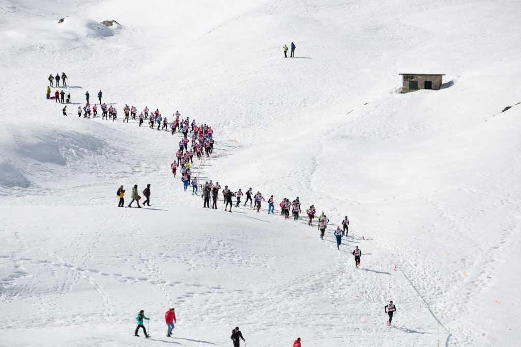 53010764_2272914849591345_8953938640908582912_o