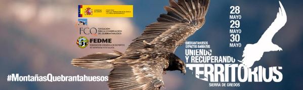 Foto de portada: Imagen de un quebrantahuesos volando. En el fondo logos del Ministerio para la transición ecológica, FEDME y Fundación para la Conservación del Quebrantahuesos