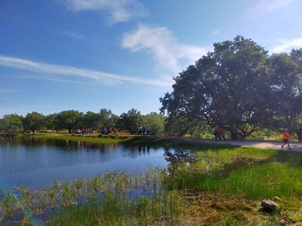 Fotografía en color de un grupo de senderistas caminando entre una lámina de agua y un bosque mediterráneo poco denso
