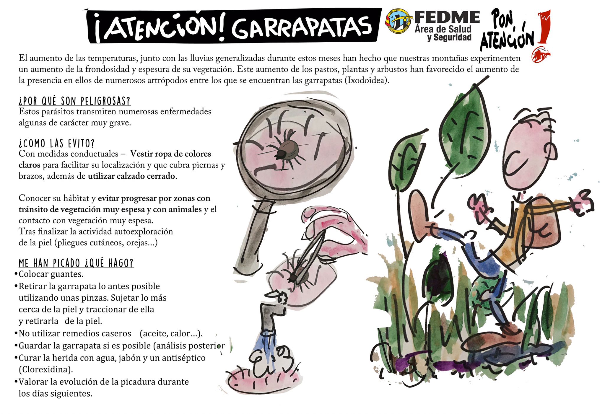 Infografia garrapatas