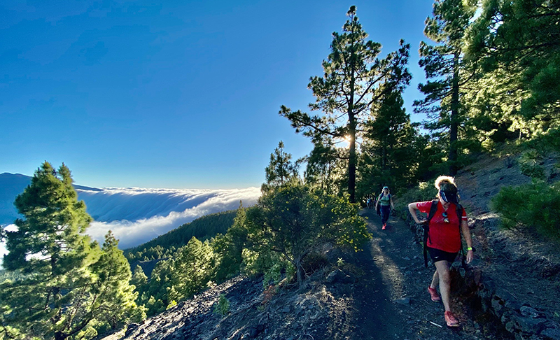 En la imagen se ve a la derecha dos chicas senderistas transitando por el GR-131, también conocido por “El Bastón”, quizás uno de los senderos más espectaculares de toda Canarias. Es un camino que transcurre por un pinar sobre cenizas volcánicas. En la imagen destaca sobremanera, a la izquierda de las senderistas la cascada del mar de nubes en la zona conocida como El Paso, en donde se observa como las nubes rebasan la orografía para caer en cascada de norte a sur, siguiendo la dirección de los vientos alisios