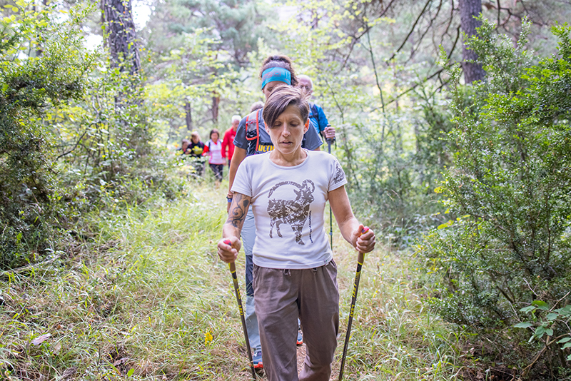 Descripción de la foto de portada: Aparecen un grupo de personas en fila realizando senderismo y en cabeza una mujer con bastones en sus manos. Se encuentran en medio de vegetación frondosa y verde