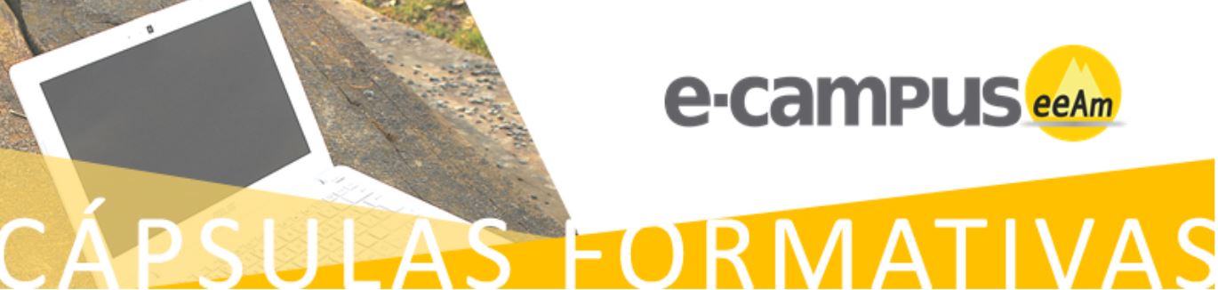 de izquierda a derecha, aparece la foto de ordenador portátil abierto y colocado encima de una roca. A la derecha de la foto, y ocupando el resto de la imagen, sobre el fondo blanco está colocado el logo de la plataforma online de la escuela (las letras e guion campus seguido del logo de la escuela, las siglas EEAM subrayadas con una línea gris y colocadas sobre un círculo amarillo con el perfil de unas montañas en color amarillo más claro en su interior). En la parte inferior de la imagen aparecen dos triángulos amarillo anaranjado contrapuestos, el de la izquierda tiene cierta transparencia, dejando ver la imagen del ordenador) y el de la derecha es totalmente opaco. Sobre estos triángulos está escrito Cápsulas Formativas.