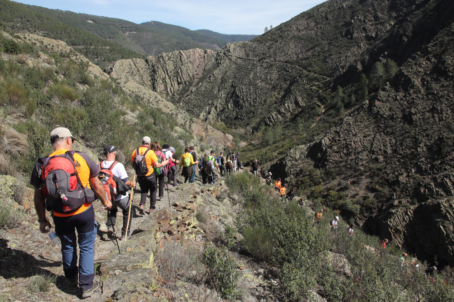 Foto en color que presenta a unos senderistas caminando por un camino en el medio natural, en la ruta Majá Robledo