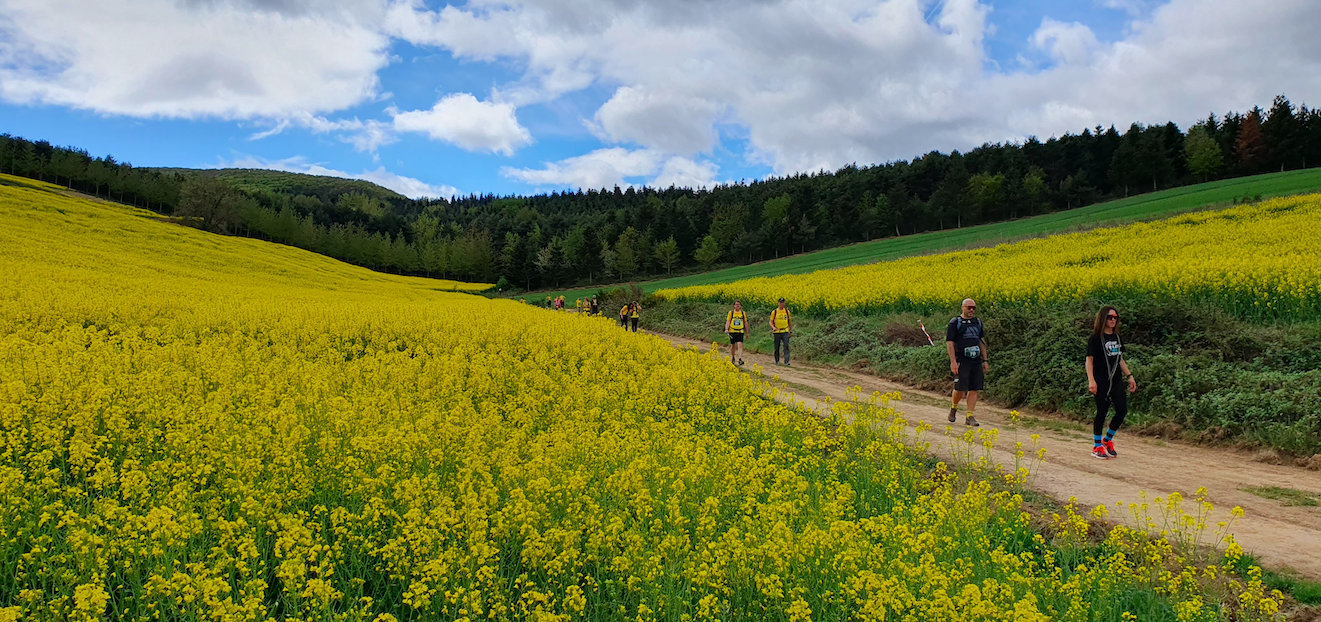 Fotografía en color que presenta a una grupo de senderistas caminando por una pista entre campos; al fondo, bosque sobre unas someras colinas