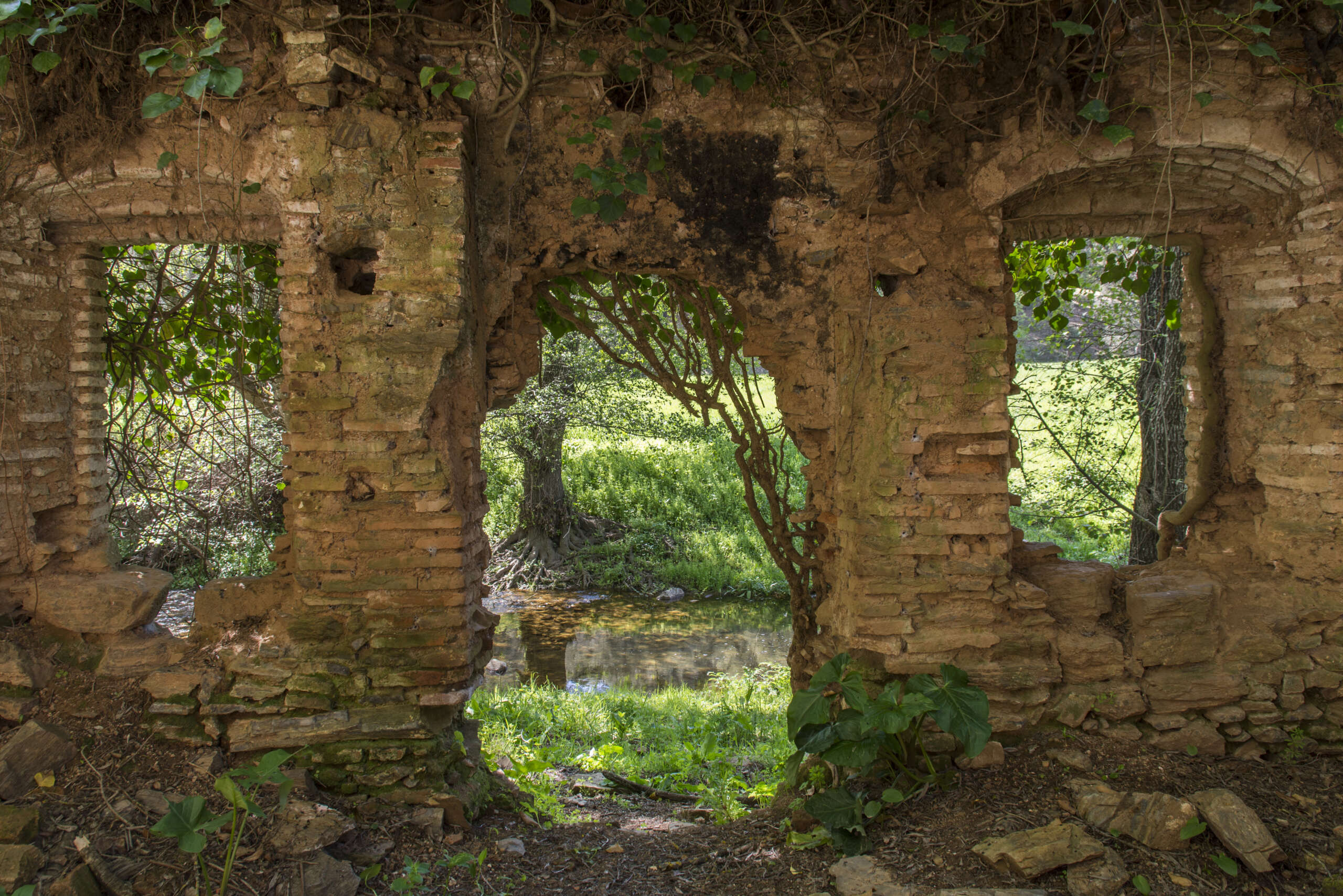 Foto en color que presenta la vista interior de las ruinas del Molino de la Molineta, con el río Ciudadeja en segundo plano