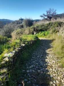 Fotografía en color que presenta parte del camino cerca del núcleo de Almonaster la Real; el camino, que está empedrado, está limitado por un murete de piedra seca