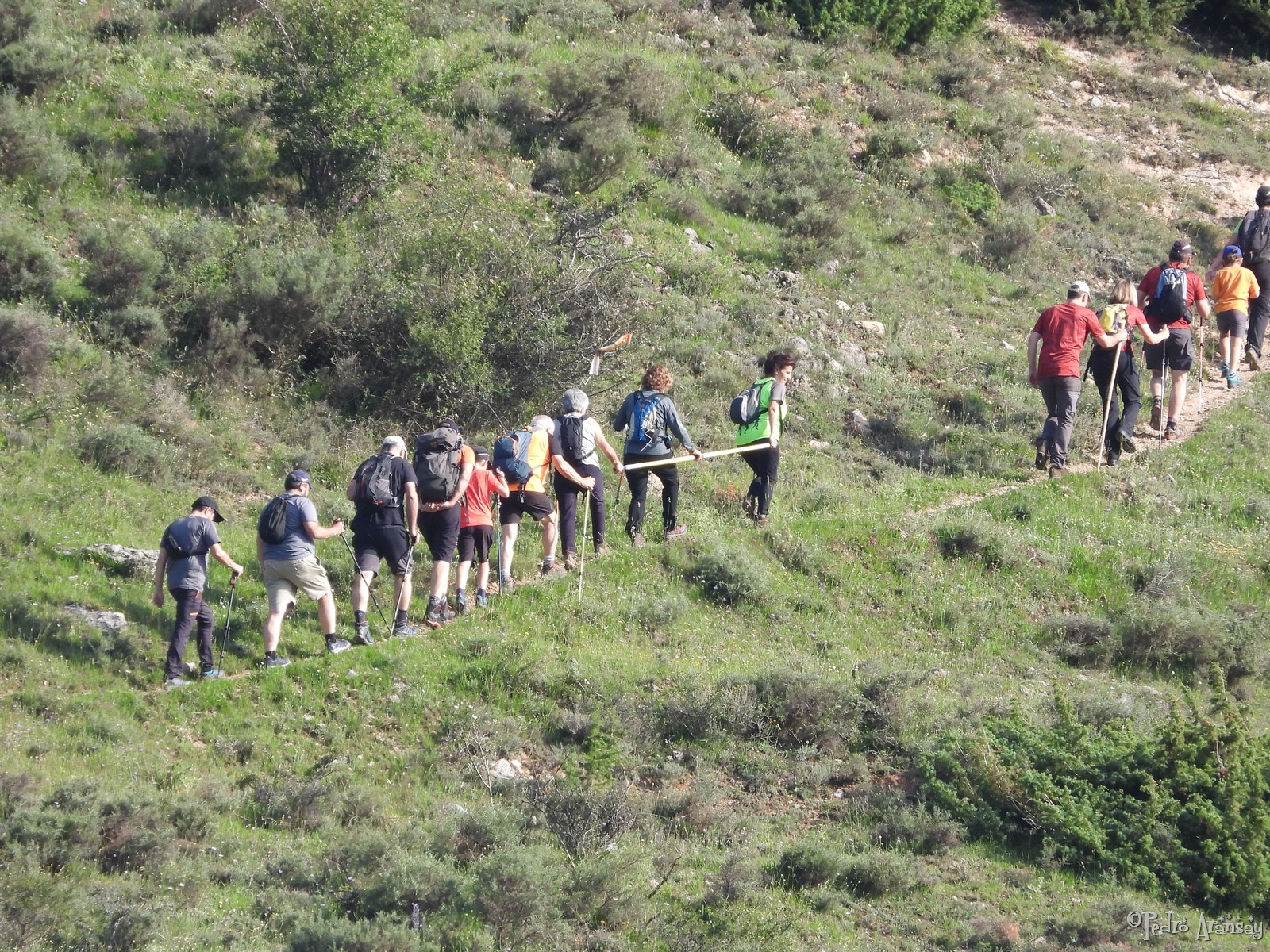 Fotografía en color que presenta a una grupo de senderista andando en hilera, dentro de los cuales hay una persona invidente que avanza ayudada por la barra direccional