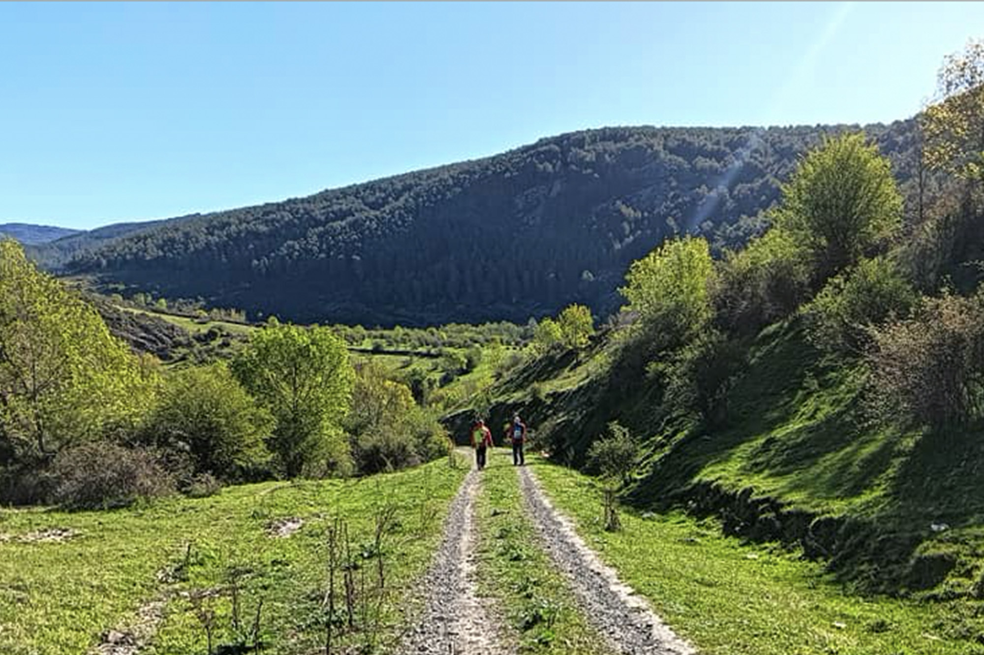 Fotografía en color que presenta a dos senderistas progresando por un camino, en un paisaje de colinas cubiertas de bosque